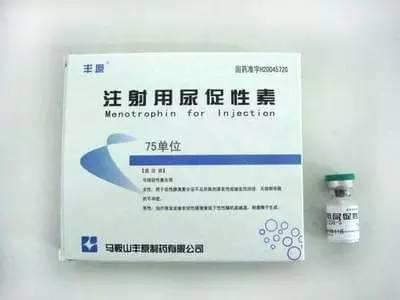 八月桂花遍地开