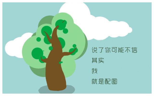 克莱拉与熊的秘密