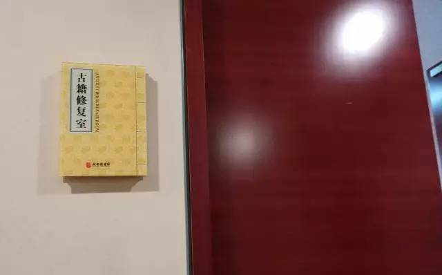 印度刺客:萨达尔·辛格