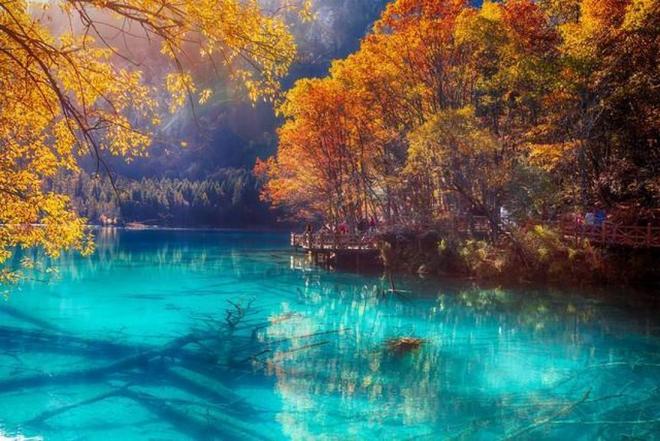 关于史蒂夫的一切