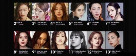 光荣之路上的狗