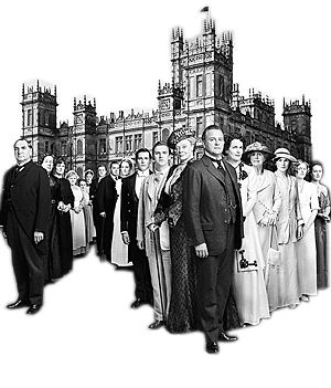 光荣之路上的狗