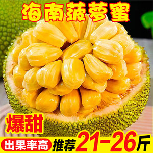 六扇门之御前盗圣