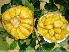 八月：奥色治郡