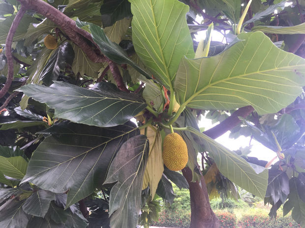 坐怀不乱柳下惠