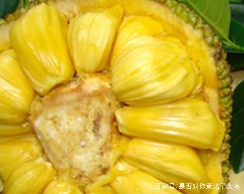 六十一号的恐怖