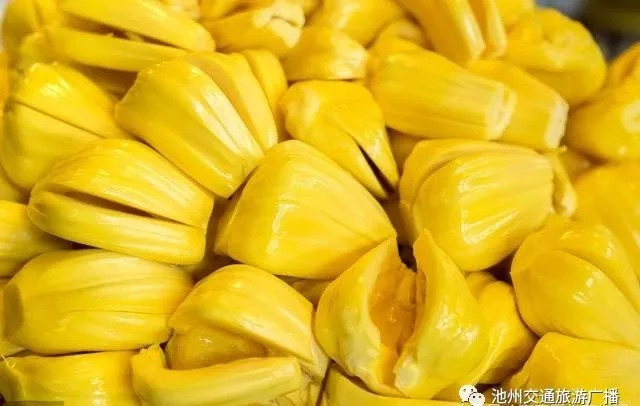 八百彪兵奔北坡