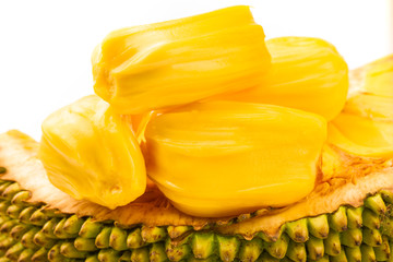 史酷比！毛茸茸的对决