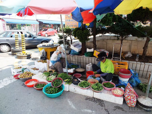 六月里来好阳光